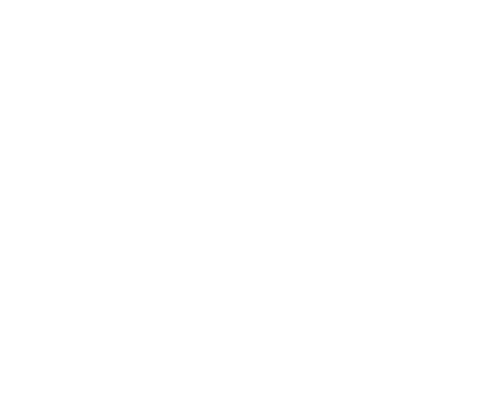 A logo with the words "Capital Bull" in white on a green background.